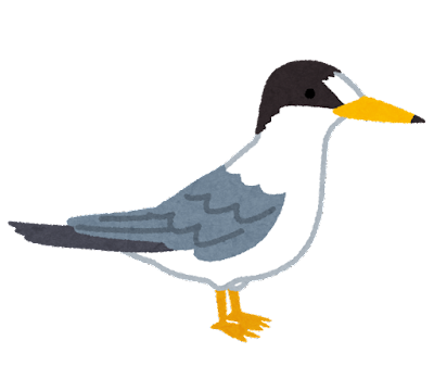 bird_koajisashi